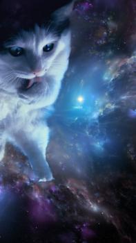 宇宙を感じるかわいいネコのiphone壁紙まとめ もっとねこ