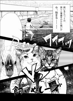 オウム 猫 チーム Vs ろう飼い主 うだま チームを漫画にしてみた もっとねこ