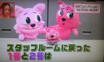 ヒルナンデスの猫のキャラクターの名前覚えてる人ガチで0人説 もっとねこ